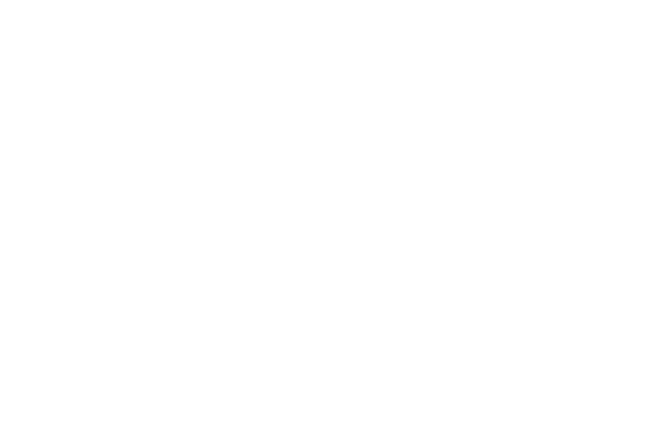 intheração - apresentação (2).pdf